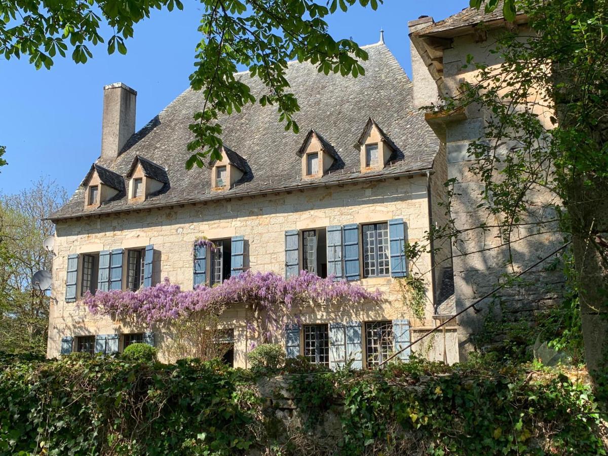 Chateau Mas De Pradie B&B Chatelaine Room Foissac  Exteriér fotografie